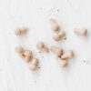 Wooden pegs for wooden Montessori toys