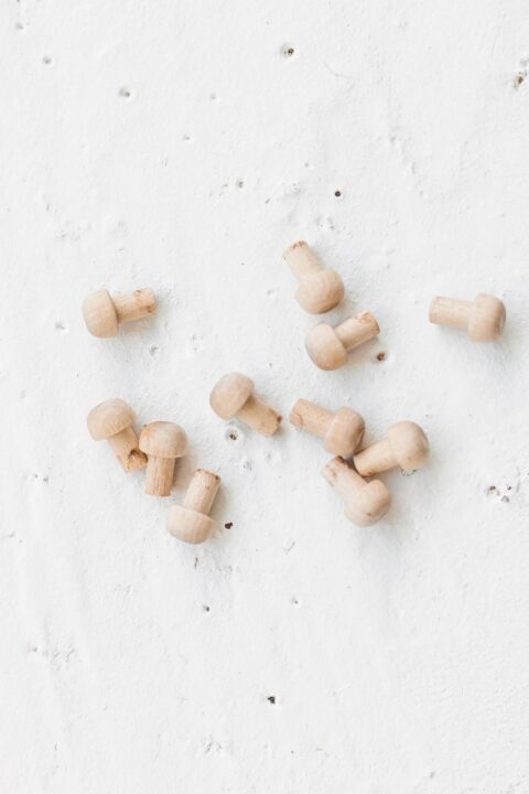 Wooden pegs for wooden Montessori toys