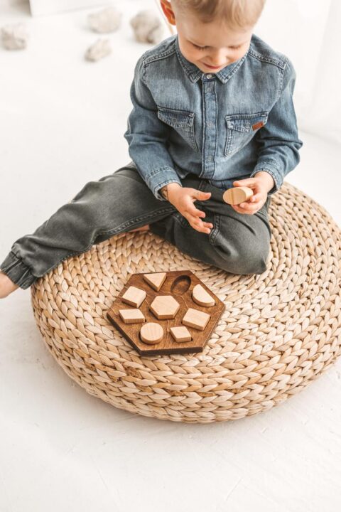 Wooden shape sorter by Woodinout Montessori toys