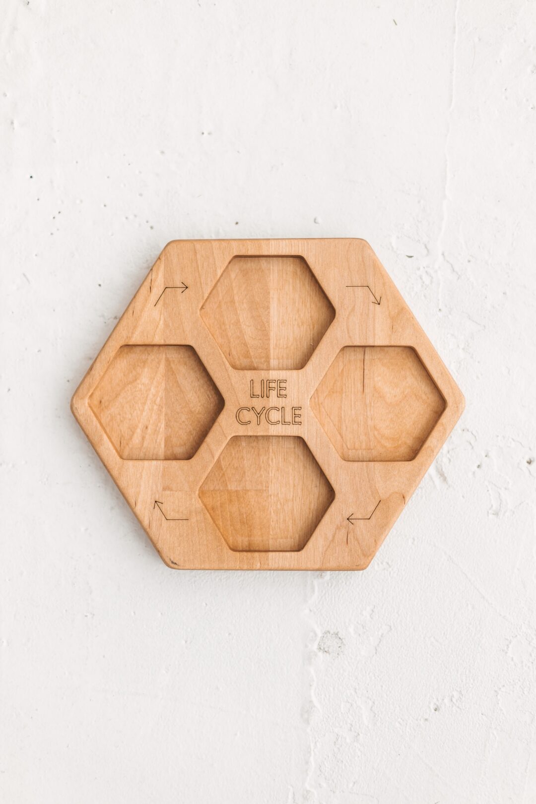 wooden Life cycle tray you could make kids learning science and biology in more interesting and creative way.